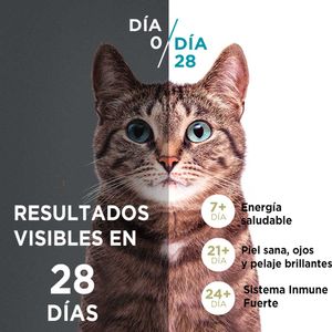 Comida para Gatos PURINA ONE Adulto Esterilizado Toda Razas Pollo Salmón Bolsa 2Kg