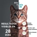image-b1d7ac4d8d8f45c8bfc743b5fb6e08fd