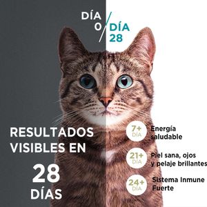 Comida para Gatos PURINA ONE Adulto Toda Razas Pollo Salmón Bolsa 500g