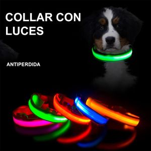 Collar Correa Con Luces Mascota Perro Gato Azul