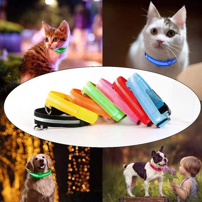 image-d39b6d3ae81d40d8bb2dee783131a33a