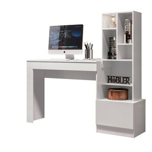 Escritorio Estante Lion