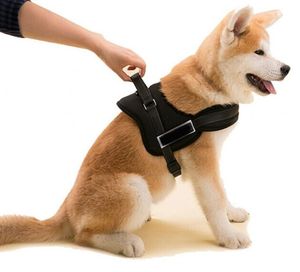 Smartpet Arnes Resistente TL Negro