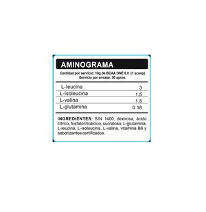 Aminoácido Bcaa One 6.0 500Gr Fruit Punch x 2