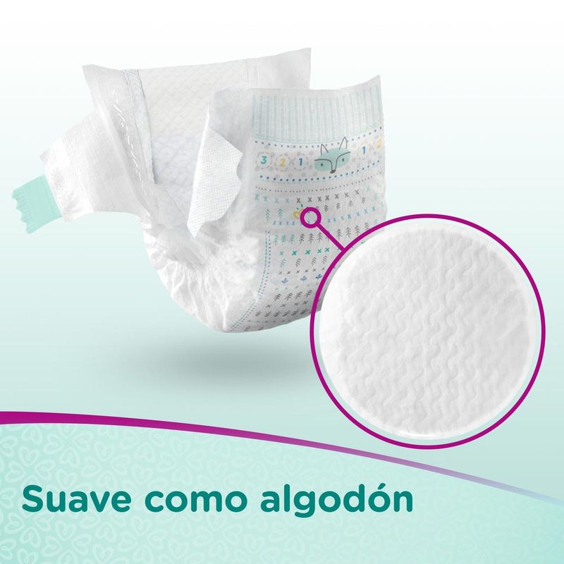 image-e90dfa00edac45a6ae3e3182ce66326c