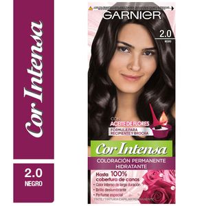 Tinte para Cabello GARNIER Cor Intesa Negro 2.0