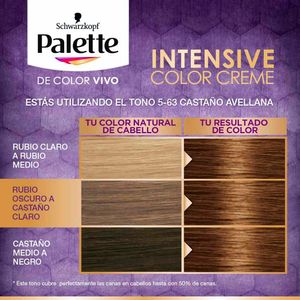 Tinte para Cabello PALETTE Color Creme Castaño Avellana 5-63 Caja 1un