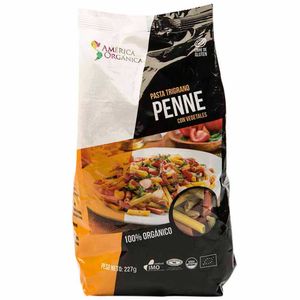 Fideos Fussilli AMÉRICA ORGÁNICA Arroz y Quinua Bolsa 227g