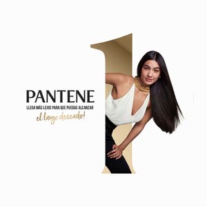 Shampoo PANTENE Hidratación Extrema Frasco 1L