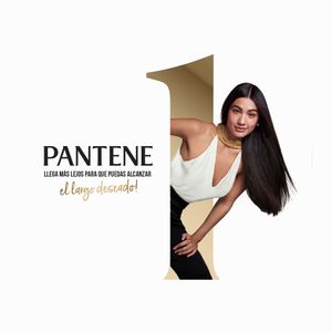Shampoo PANTENE Rizos 2 en 1 Botella 1L