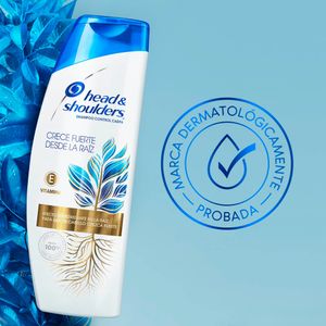 Shampoo HEAD & SHOULDERS Fuerza de Raíz Frasco 1L