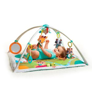 Gimnasio Deluxe TINY LOVE Into The Forest