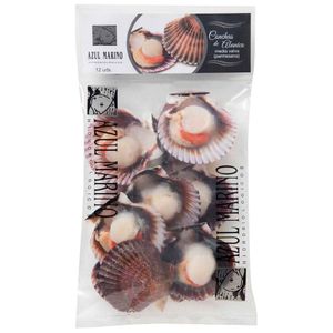 Conchas de Abanico AZUL MARINO Media Valva Bolsa 12un
