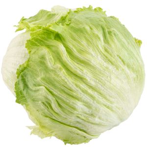 Lechuga Americana de Verano VIVA Bolsa Unidad