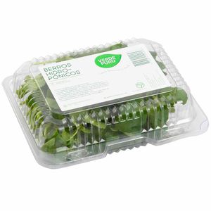Berros Hidropónicos VERDE PURO Táper 120g