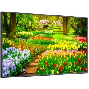 NEC MultiSync M491 49&quot; Class HDR 4K UHD Pantalla LED IPS comercial