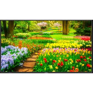 NEC MultiSync M491 49&quot; Class HDR 4K UHD Pantalla LED IPS comercial