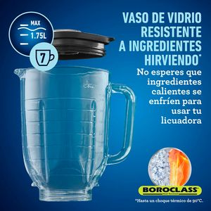 Licuadora Oster Pro Max de 2 caballos Vaso de vidrio BLSTPBRG
