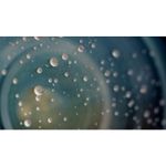 image-ada88988bc404f56a0ea9bc3e316a4f6