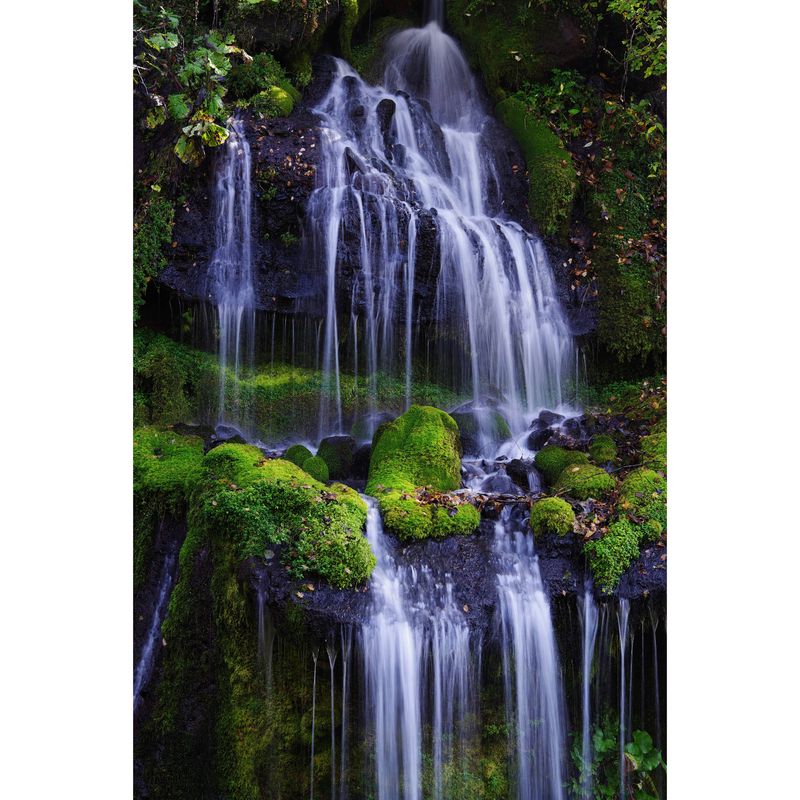 image-1e3c4c6d51f24aefad4e5f84178b85c1