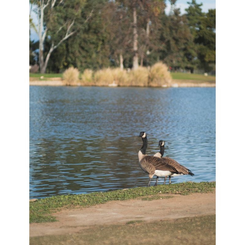 image-6188f6911e294542b6cc2f5cd0d0ea42