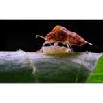 image-b60169ce1756458ca25b641a870088e7