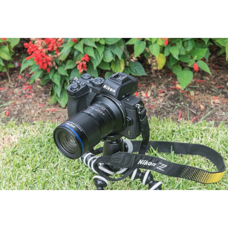 image-b14508ae1ac1438ab1ad3ddc7fc8ddff