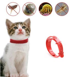 Collar Antipulgas para Gatos