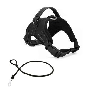 Arnés para Perro Ergonómico + Soga Gruesa Trenzada