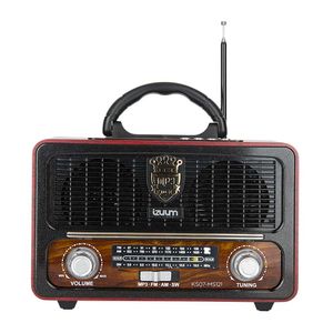 Radio portátil bluetooth Izuum Madrid AM y FM, batería recargable, enchufe o pilas + control remoto