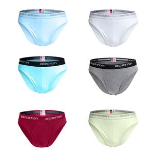 Pack x6 Trusas Boston Hombre Multicolor 2