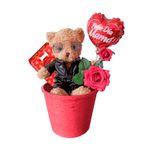 imageUrl_1