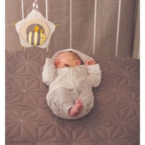 Colgador Abeja Musical Eltern E8509 de Madera