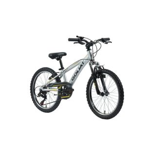 Bicicleta Hombre Nazca Plata - aro 20