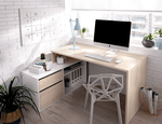 imageUrl_1