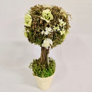 Arreglo Floral Tipo Topiario Verde Floripa 12Avp-Vd