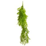 imageUrl_1
