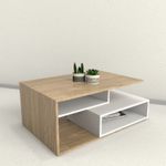 imageUrl_1