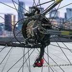 image-e5940319c83349948cf78c2f6559ae23
