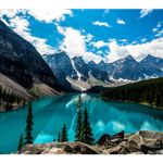 imageUrl_13