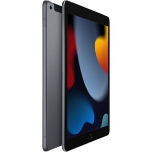 Apple 10.2 "iPad (novena generación, 256 GB, Wi-Fi + 4G LTE, Space Grey)