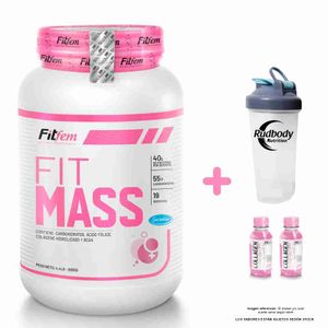 Proteína Fitfem Fitmass 2000gr Chocolate + Shaker