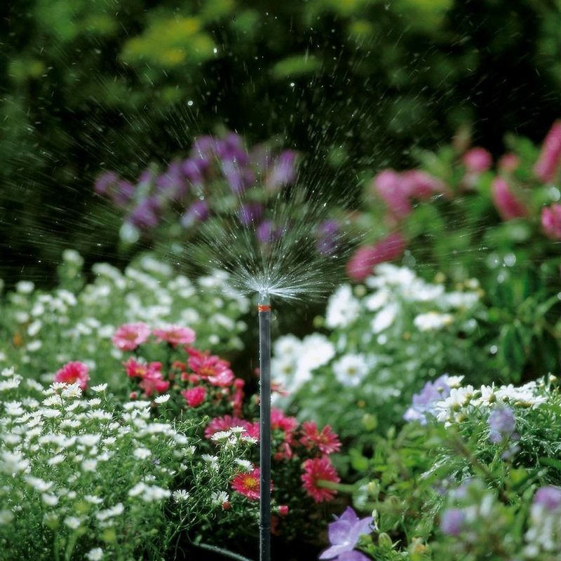 imageUrl_6