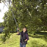 imageUrl_6