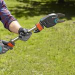 imageUrl_5