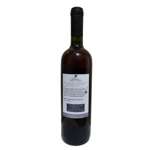 Vino de Arandanos Feria Nativa 750ml