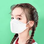 image-688bd68a1e304a85a7e194dacf7b00ea