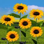 imageUrl_9