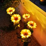 imageUrl_8