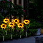 imageUrl_7